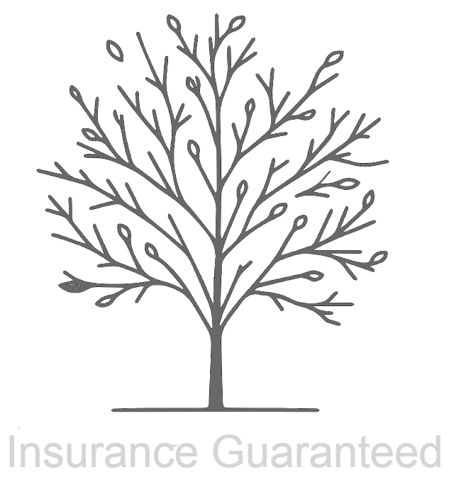 Guaranteed Issue Insurance
